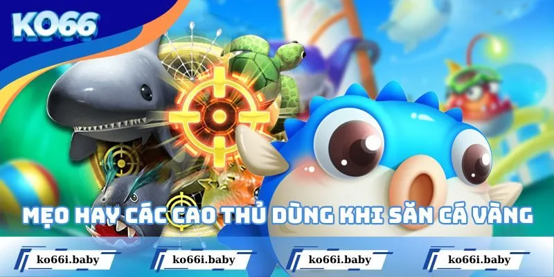 Mẹo hay các cao thủ hay dùng khi chơi săn cá vàng