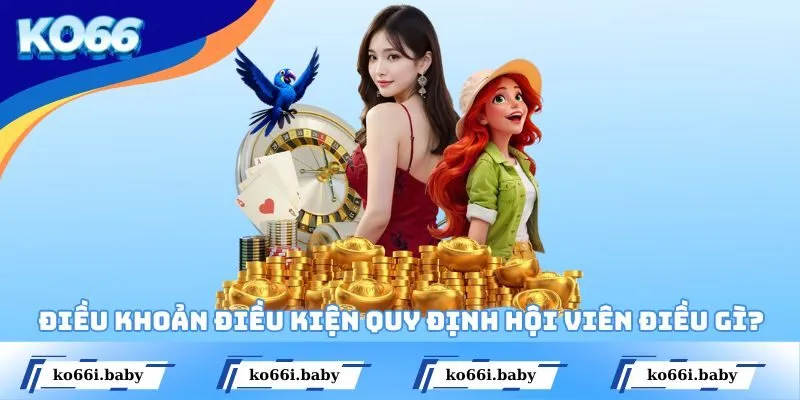 Điều khoản điều kiện quy định hội viên điều gì?