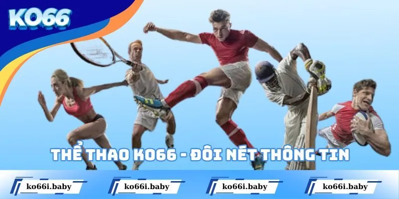 Thể thao KO66 - đôi nét thông tin
